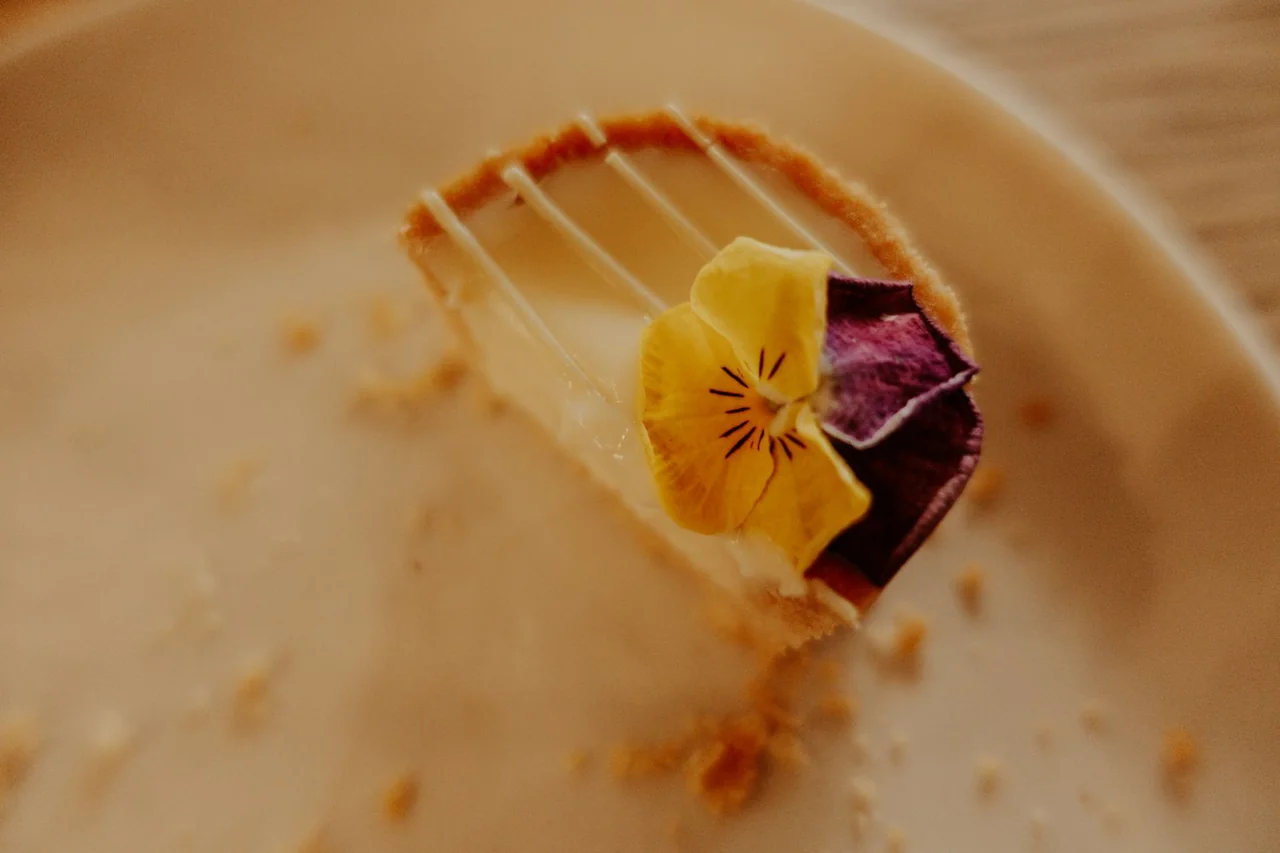 Cheesecake with edible flower